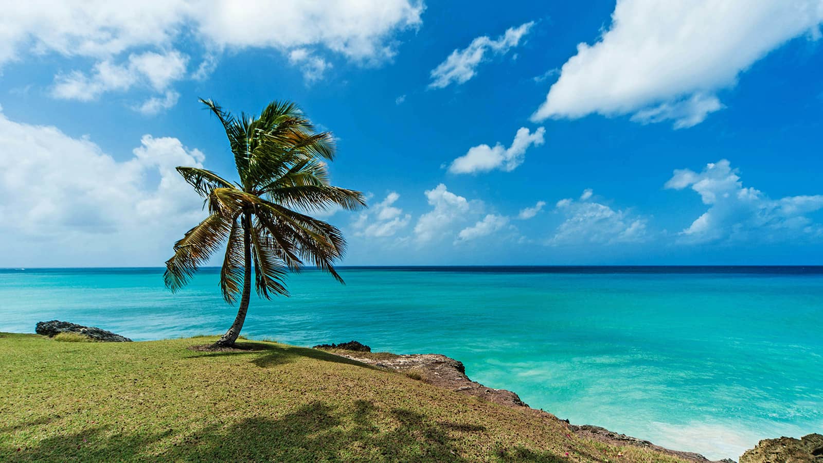 Exploring Barbados‘ stunning beaches and vibrant culture